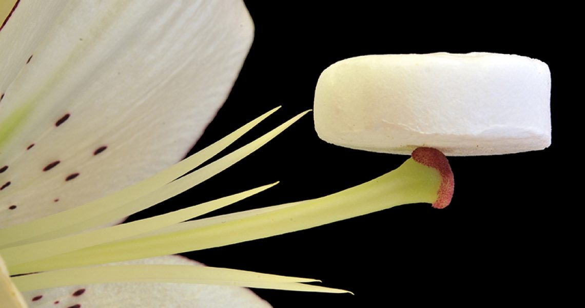 Aerogels of nanocellulose is an extremely leightweight  type of material. The photo shows an aerogel on a part of a flower.